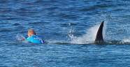Sörfçüye köpek balığı böyle saldırdı