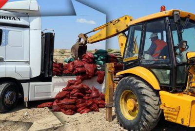 Ele geçirilen 10 ton midye imha edildi