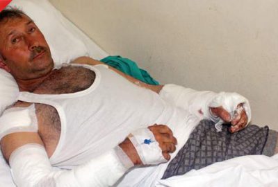 Bursa’da ayı dehşeti