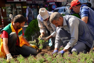 Diyarbakır Büyükşehir Belediyesi Park ve Yeşil Alanlar Daire Başkanlığı’na bağlı