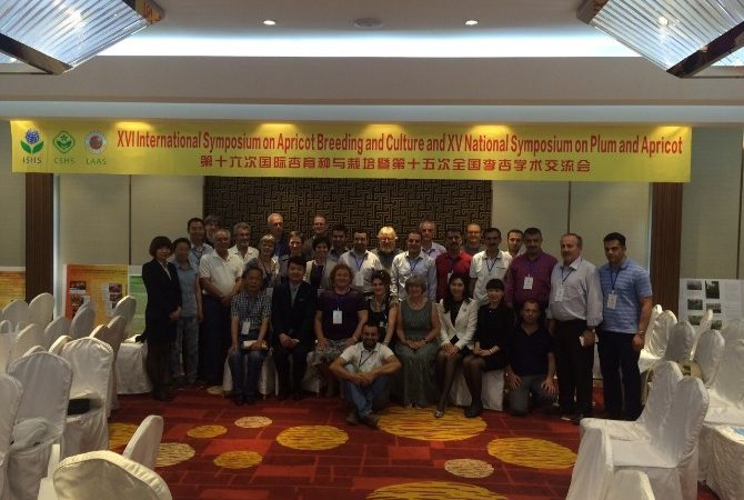 Çin’in Shenyang eyaletinde 30 Haziran-3 Temmuz tarihleri arasında gerçekleştirilen 16.