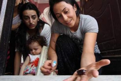 Hakkari’nin Yüksekova ilçesinde bir evin balkonunda nadir görülen dünyanın en