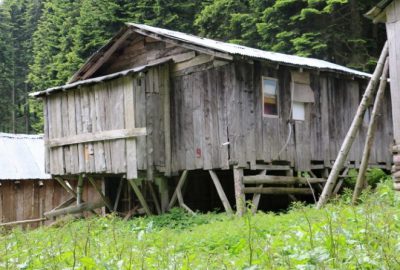 Düzce’de yayla evlerinin tespiti ve sahibine kiralanması çalışmalarında sona gelindi.