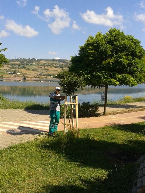 Gölkay Elden Geçti 1 39841