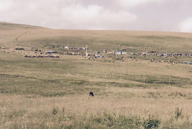 Çıldır’da her yıl temmuz ayı başı ile eylül ayı ilk