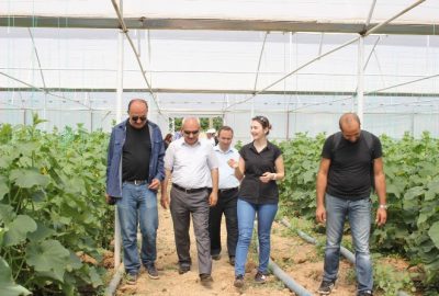 Son yıllarda ülke genelinde yaygınlaşan ve Erzincan’da da uygulanmaya başlayan