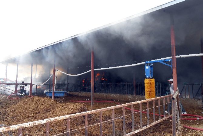 Burdur merkeze bağlı Suludere köyünde bir besihanede çıkan yangında 2