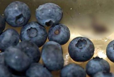 Meyvenin içinden bu çıktı