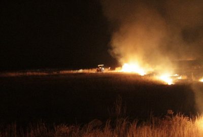 Diyarbakır-Şanlıurfa yolunda bazı köylüler tarafından yakılan ateş yangına neden oldu.