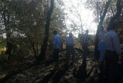 Van merkez Tuşba ilçesine bağlı Alaköy Mahallesi’nde meydana gelen bahçe