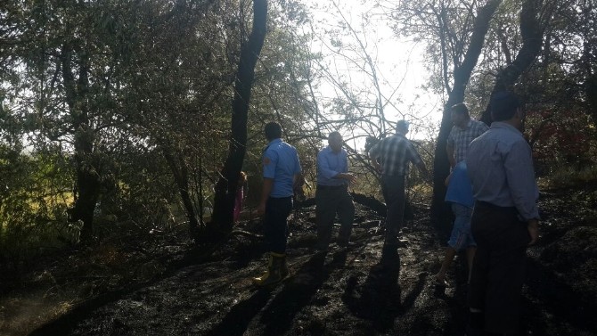 Van’da bahçe yangını Van merkez Tuşba ilçesine bağlı Alaköy Mahallesi’nde meydana gelen bahçe