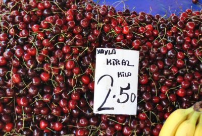 Aydın kiraz üretiminde büyük pay sahibi olan Yukarı Kayacık köyünde