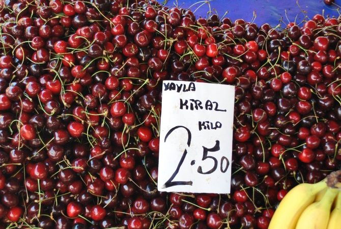 Aydın kiraz üretiminde büyük pay sahibi olan Yukarı Kayacık köyünde