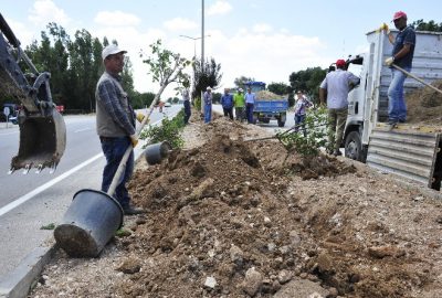 Karaman Belediyesi, şehir genelinde ağaçlandırma çalışmalarına devam ediyor.