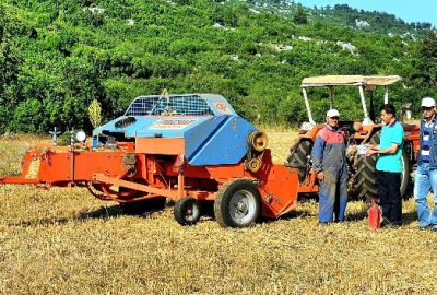 Burdur’un Bucak Orman İşletme Müdürlüğü ve Bucak Model Orman gönüllüleri