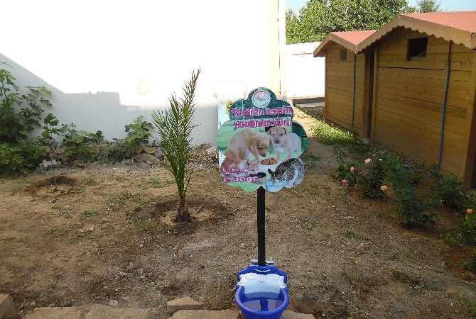 Gökçeada belediyesi Sokak hayvanlarının susuz kalmaması için çeşitli noktalara otomatik