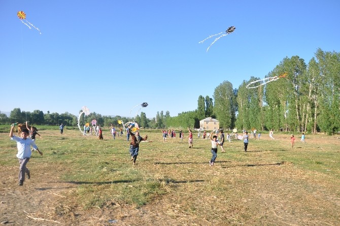 Muş’ta Çocuklar Toy Ve Telli Turnalar İçin Uçurtma Uçurdu