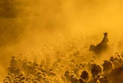 Teksas değil Bitlis