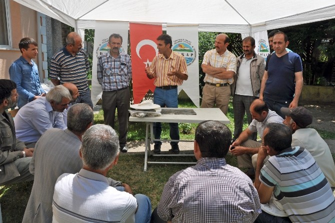 Gümüşhane’de Arıcılara DOKAP Destekli Eğitim