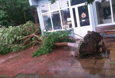 Tekirdağ’ın Malkara ilçesine bağlı Balabancık Mahallesi’nde aniden başlayan şiddetli sağanak,