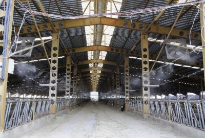Hava sıcaklığının 40 dereceyi aştığı Antalya’da bir işletmeci, 2 bin