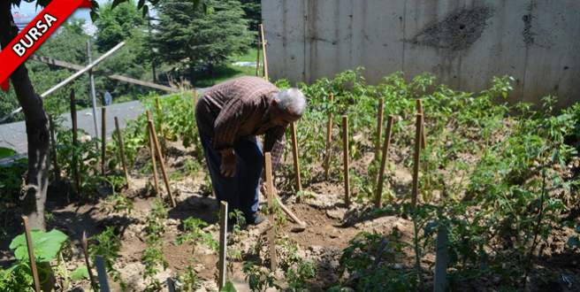 Devlet Hastanesi’ni hobi bahçesine çevirdi