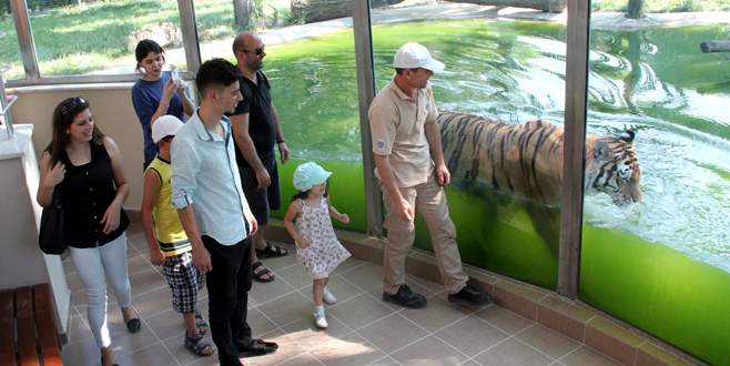 Bursalılar hayvanat bahçesine akın etti