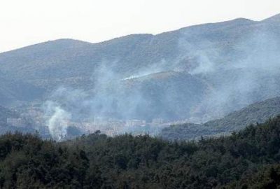 Esad güçleri Türkmen köyüne saldırdı