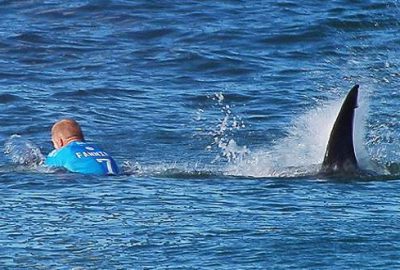 Sörfçüye köpek balığı böyle saldırdı