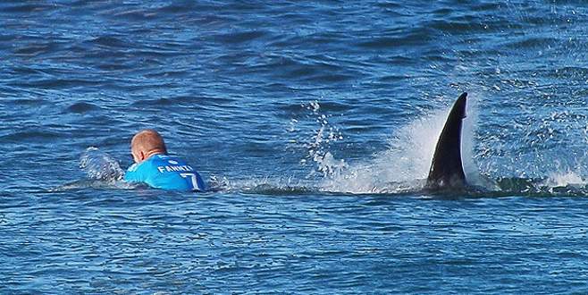 Sörfçüye köpek balığı böyle saldırdı
