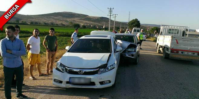 Atlar zincirleme kazaya sebep oldu