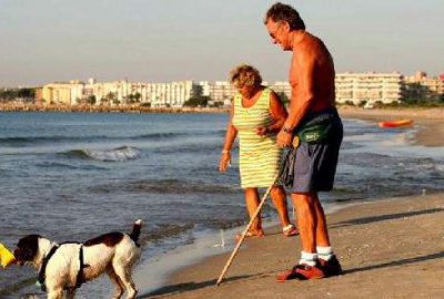 Bu plaja sadece köpekler girebilecek