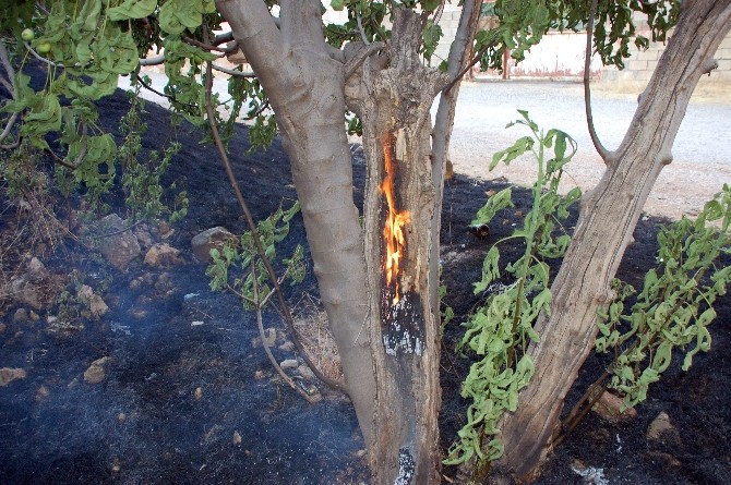 Kullanılmayan İkamet Kundaklandı