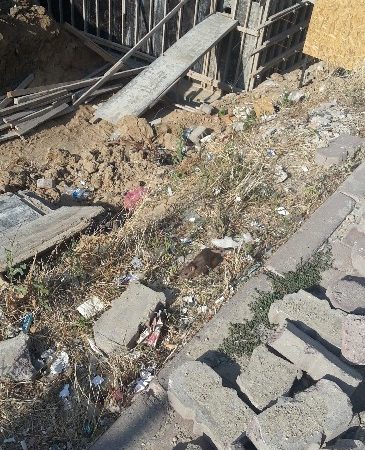 Tekirdağ’ın Çerkezköy ilçesinde yolda fare gören vatandaşlar panik yaşadı. Çerkezköy’de