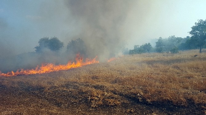 Sınırdaki Yangın Devam Ediyor