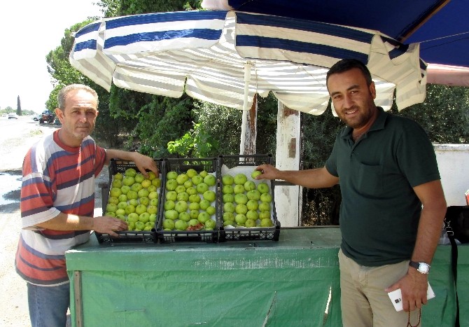 Aydın’da Yılın İlk İncirleri Tezgahlarda Yerini Aldı