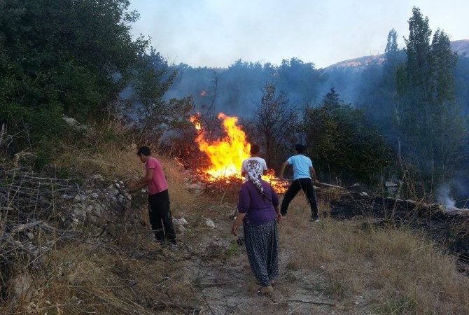 Malatya’nın Hekimhan ilçesinde anız yangını 3 meyve bahçesinin kül olmasına