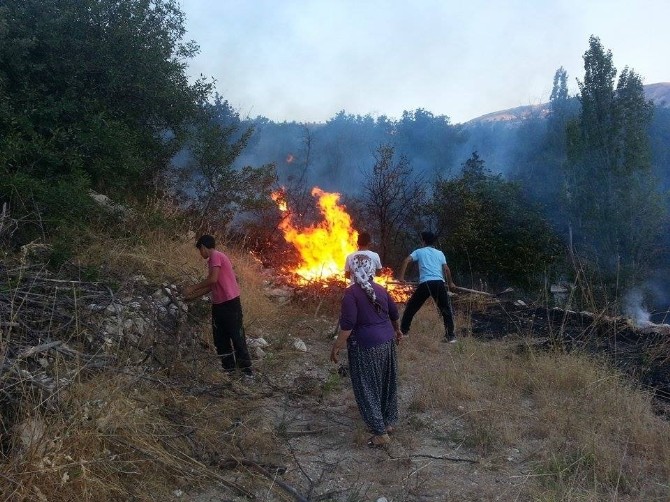 Malatya’da Anız Yangını 3 Bahçeyi Kül Etti