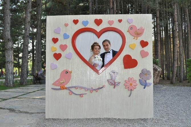 Botanik Park Stüdyo Gibi