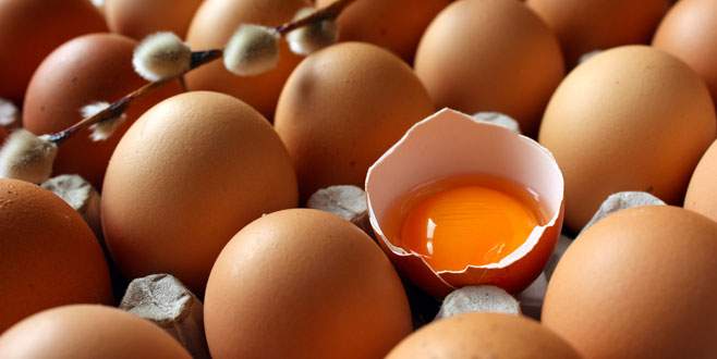 Yumurta fiyatları % 50 artacak