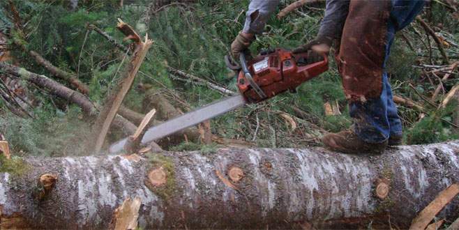 Motorlu testereyle ayağını kesti, kan kaybından öldü