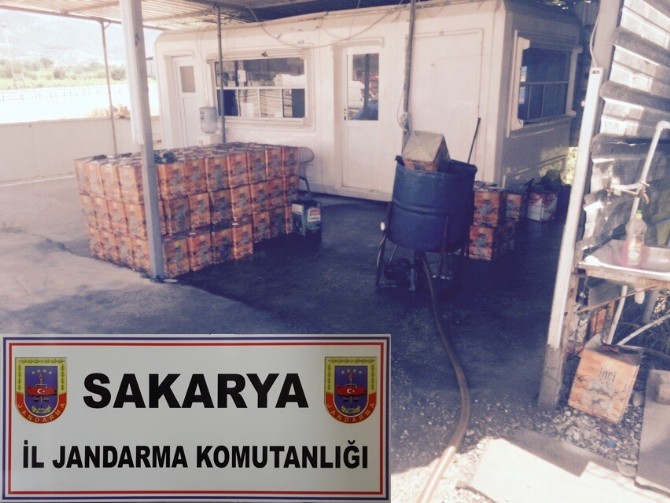 Sakarya Jandarmasından 10 Numara Yağ Ve Kenevir Operasyonu