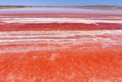 Tuz Gölü kızardı!