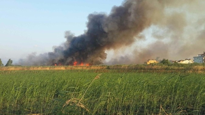 Edremit’te Sazlık Tekrar Yandı