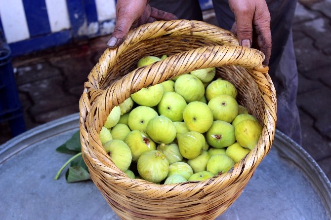 Yerli İncirin Kilosu 5 TL’den Satılıyor