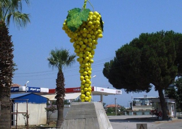 Manisa’nın çekirdeksiz sofralık Sultaniye Üzümü ile ünlü Sarıgöl ilçesine, ilçenin