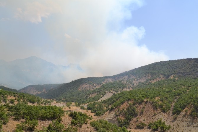 Tunceli’deki Orman Yangını Kontrol Altına Alındı