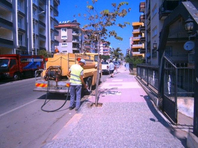 Daha Yeşil Bir Alaşehir İçin Çalışıyorlar