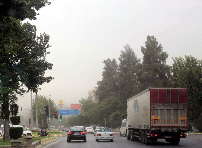 Aydın Yaz Yağmuruyla Serinledi