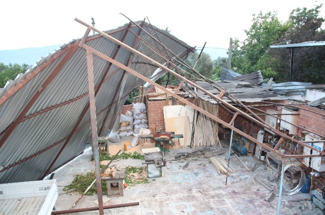 Aydın’da Fırtına Çatı Uçurdu, Meyveler Dibine Döküldü